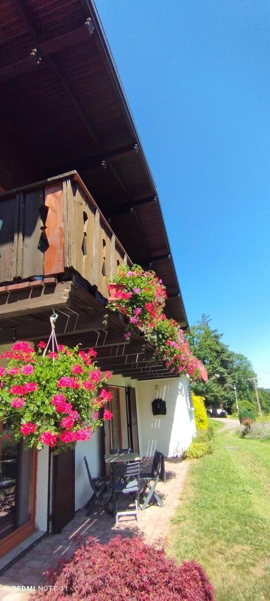 Chalet Au Bois Des Ecureuils Classe Trois Etoiles. Muhlbach-sur-Munster Bagian luar foto