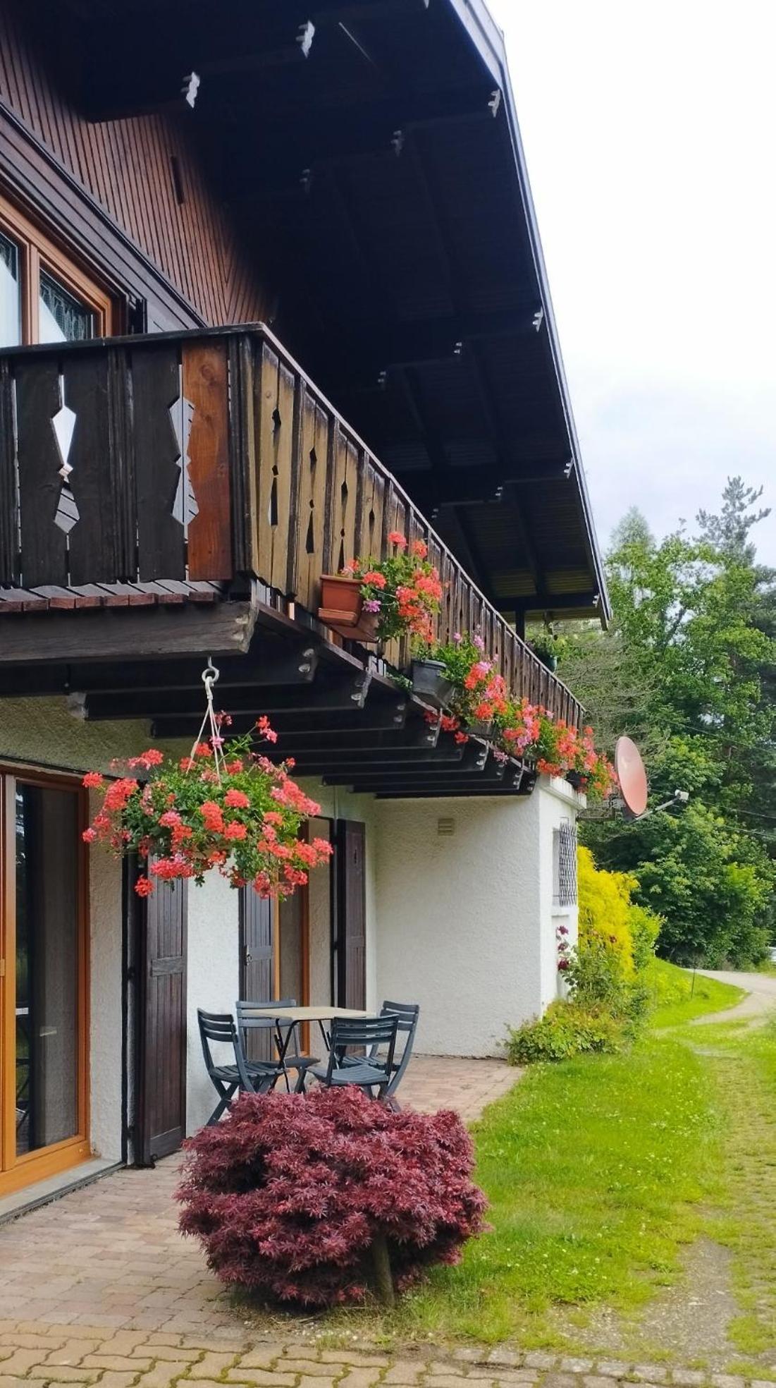 Chalet Au Bois Des Ecureuils Classe Trois Etoiles. Muhlbach-sur-Munster Bagian luar foto